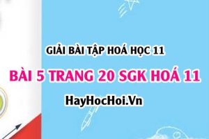 Giải bài 5 trang 20 SGK Hoá 11: Phản ứng trao đổi ion trong dung dịch chất điện li